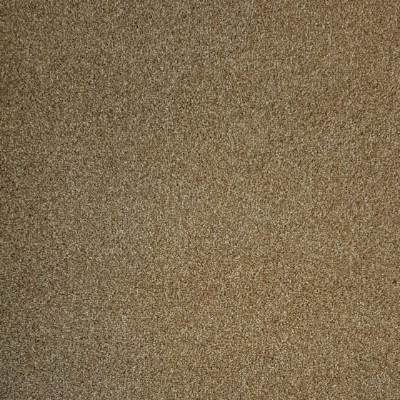 Eco Tile Cut Pile 70